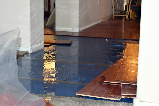 Professional Storm Water Damage Restoration technician working in Grandview, OH